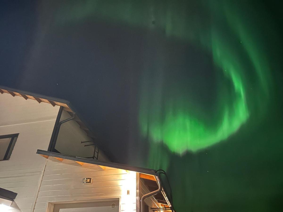 Aurora * Rovaniemi